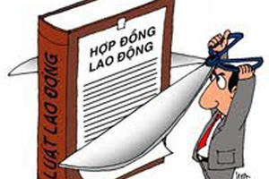 Thi tuyển công chức không đậu, bị chấm dứt HĐLĐ