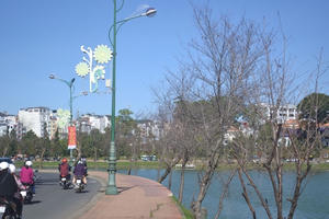 Chính thức dừng Ngày hội mai anh đào Đà Lạt