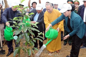 Chủ tịch Quốc hội phát động Tết trồng cây tại Hòa Bình Chủ tịch Quốc hội phát động Tết trồng cây tại Hòa Bình
