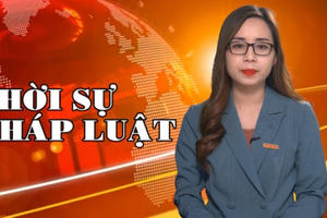 Bản tin Pháp luật: Những vụ đại án được đưa ra xét xử năm 2021