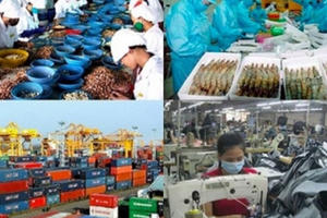 Tăng trưởng GDP chậm lại: Động lực phải từ cải cách!