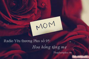 Radio Yêu thương Plus số 95: Hoa hồng tặng mẹ 8/3
