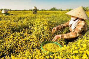 Tập trung hoàn thiện hồ sơ Đồ án điều chỉnh Quy hoạch chung TP Hải Phòng đến năm 2040