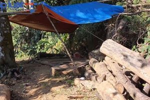 Bắc Kạn: Xót xa cảnh tượng nhiều ha rừng bị tàn phá tan hoang