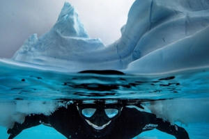 Khám phá Nam Cực dưới làn nước -2 độ C