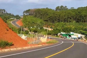 Đấu thầu tại Đắk Nông: Còn khoảng trống về công khai thông tin