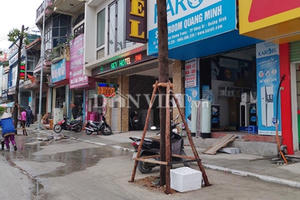 Quảng Ninh: Lạ đời với dự án trăm tỷ trồng cây dưới lòng đường