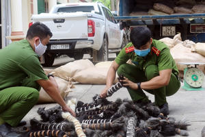 Thu giữ 6 tấn lông gia xúc chất đầy xe tải ở Lào Cai