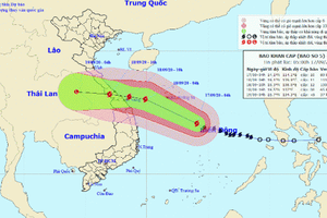 Tin tức mới nhất về cơn bão số 5