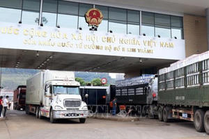 Việt Nam đã hoàn thành 74% cam kết tạo thuận lợi thương mại