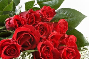 Khi nào hoa hồng mới thể hiện tôn vinh phụ nữ trong ngày 8/3?