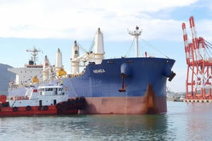 Kinh doanh vận tải biển: Doanh nghiệp tư nhân thiếu “đất sống”?