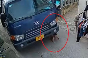 Video: Hoảng hồn cảnh bé trai thoát chết thần kỳ khi bị cuốn vào gầm xe tải