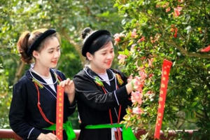 Vĩnh Phúc: Rộn ràng sắc xuân đón Tết Nhâm Dần