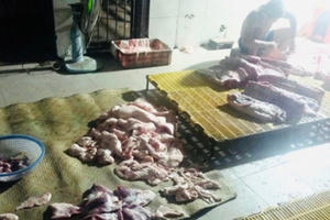 Đồng Nai: Phát hiện 1 cơ sở giết mổ heo không phép tại huyện Thống Nhất