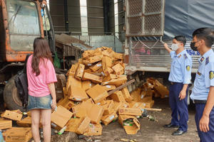 Quản lý thị trường Hà Nội giám sát tiêu hủy hơn 2,5 tấn nấm kim châm quá hạn sử dụng
