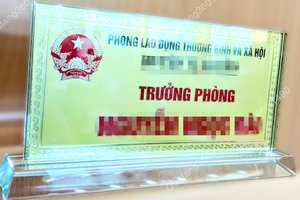 Quy định mới về tiêu chuẩn chức danh Trưởng phòng, Phó Trưởng phòng cấp huyện áp dụng từ ngày 1/5/2024 Quy định mới về tiêu chuẩn chức danh Trưởng phòng, Phó Trưởng phòng cấp huyện áp dụng từ ngày 1/5/2024