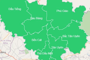 91/91 xã, phường, thị trấn của Bình Dương trở về “bình thường mới”