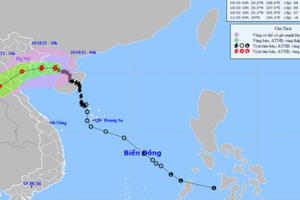 Bão số 7 giật cấp 10, Đông Bắc Bộ mưa rất to