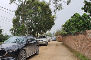 "Cò thổi giá làm náo loạn vùng quê, nhiều nơi "sốt" đất bất thường