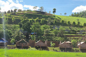 1ha đất rừng sản xuất bị "hô biến" thành khu du lịch ở Phú Thọ