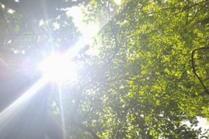 Dự báo thời tiết ngày 20/8: Hà Nội ngày nắng nóng, chiều tối có mưa