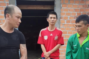 Bắt nhóm đối tượng đột nhập, trộm két sắt nhà dân Bắt nhóm đối tượng đột nhập, trộm két sắt nhà dân