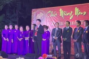 Cộng đồng người Việt tại Thái Lan, Hoa Kỳ tưng bừng đón Tết Canh Tý