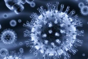 Bí mật ít ai biết về chương trình vũ khí vi trùng của Mỹ