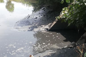 Bắc Ninh: Một cá nhân bị phạt 263 triệu đồng vì vi phạm trong lĩnh vực bảo vệ môi trường