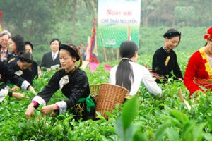 Khai mạc Festival Trà Thái Nguyên 2015