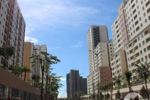 Địa ốc 24h: TP HCM phát hiện sai phạm nhưng không xử lý và chuyện nuôi lợn trong biệt thự bỏ hoang