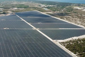 Licogi 13 (LIG) chuyển nhượng dự án điện mặt trời cho tổ chức thuộc Dragon Capital, dự thu 456 tỷ đồng