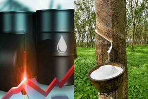 Chỉ số MXV-Index nhích nhẹ 0,05% lên 2.251 điểm