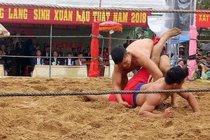 Hội vật làng Sình thu hút hàng nghìn người tham dự