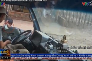 VTV24 "phản pháo" lại vụ phóng sự phá rừng bị tố dàn dựng