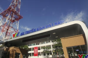 Cơ cấu tổ chức mới của Đài Truyền hình Việt Nam
