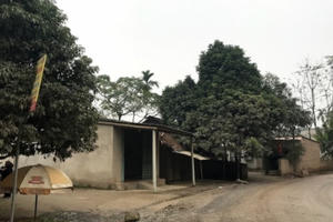 Yên Bái: Người dân khốn khổ bởi Dự án làm đường quy hoạch treo