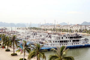 Quảng Ninh: Đình chỉ hoạt động hàng loạt tàu du lịch trên Vịnh Hạ Long