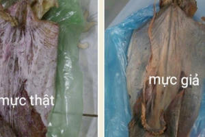 Giật mình mực "cao su" bán tràn lan ở các chợ Hà Nội Giật mình mực "cao su" bán tràn lan ở các chợ Hà Nội