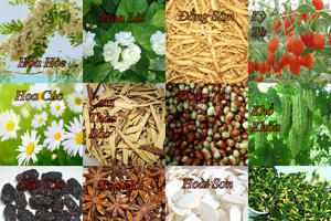 Trà Cung đình Huế: Nơi hội tụ tinh hoa của đất Cố đô