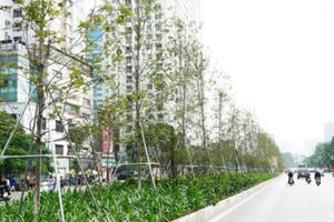 Bắt Giám đốc Ban Duy tu các công trình thuộc Sở Xây dựng Hà Nội Bắt Giám đốc Ban Duy tu các công trình thuộc Sở Xây dựng Hà Nội