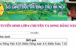 Tra cứu điểm thi vào lớp 6 trường Amsterdam Hà Nội nhanh nhất