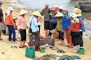 Vụ Formosa: “Chất ô nhiễm vẫn tồn lưu trong trầm tích mặt đáy biển” Vụ Formosa: “Chất ô nhiễm vẫn tồn lưu trong trầm tích mặt đáy biển”