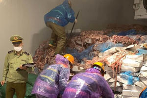 Kinh hoàng phát hiện hơn 70 tấn lòng lợn bốc mùi chuẩn bị tung ra thị trường