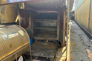 Hải Phòng: Xử phạt 3 doanh nghiệp vi phạm pháp luật về bảo vệ môi trường