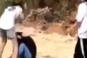 Lâm Đồng: Xác minh hai nhóm nữ sinh đánh nhau ngay cạnh nghĩa trang