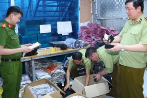 Ninh Bình: Triệt phá "kho hàng online" lớn nhất từ trước tới nay