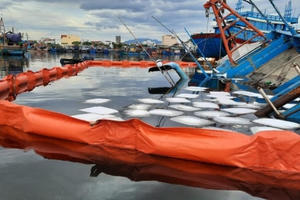 Tàu liên tiếp bị chìm sau khi cảng cá lớn nhất miền Trung phong tỏa