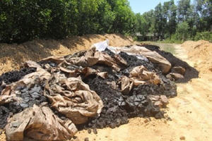 Kiểm tra cẩn trọng, xử lý nghiêm minh